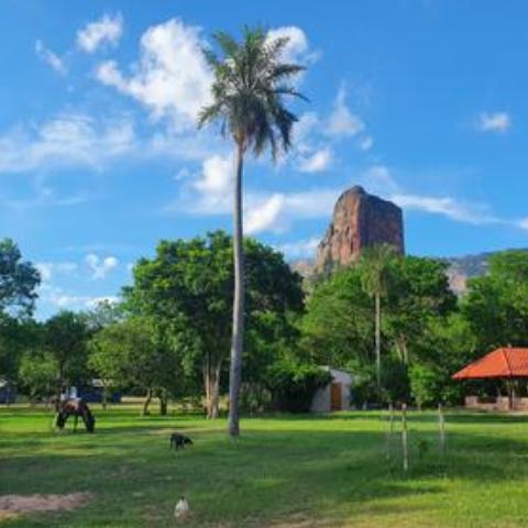 Bolivien - Regenwald